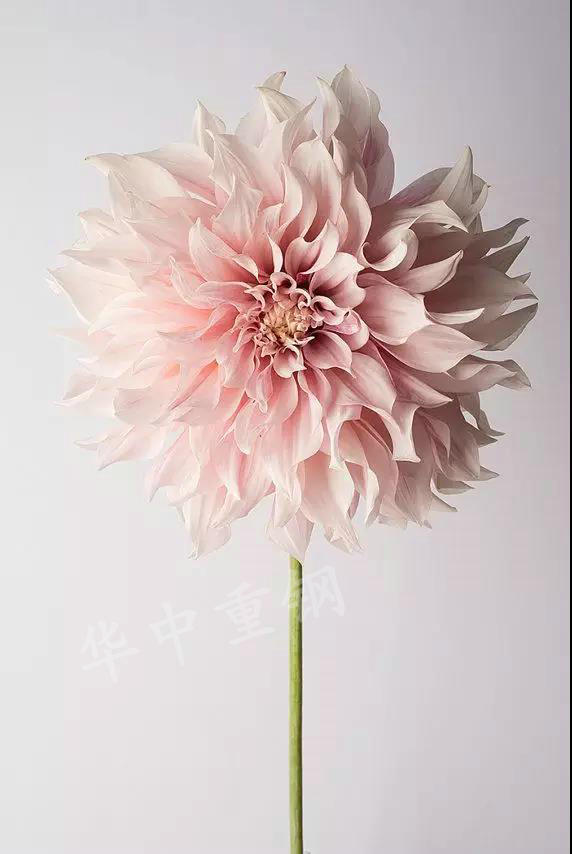6.jpg 山東華中重鋼有限公司
