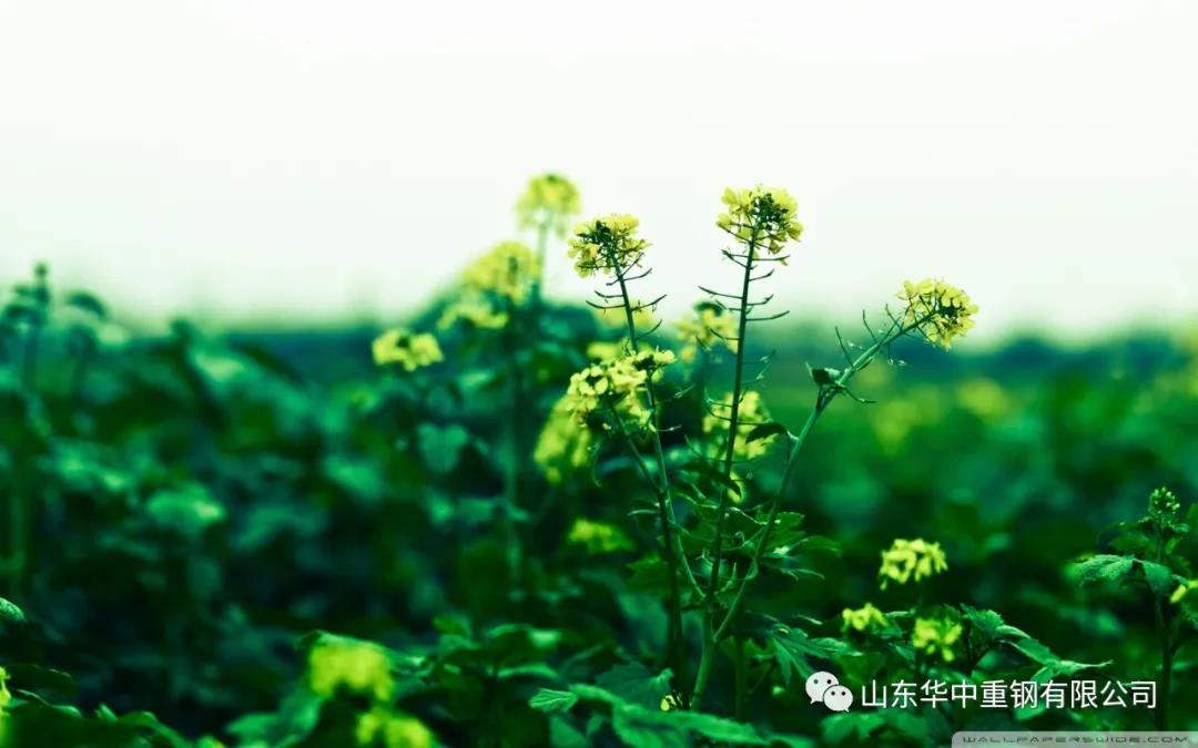 3.jpg 山東華中重鋼有限公司